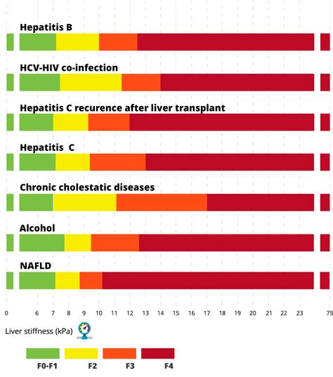 fibroscan chart